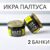 Икра черная палтуса 220 г. — 2 банки